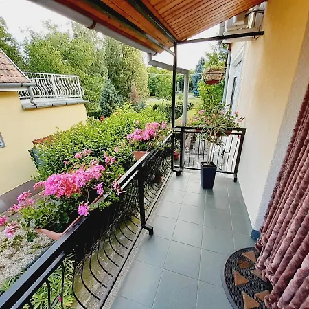 Szoke Nyaralo Дом отдыха *